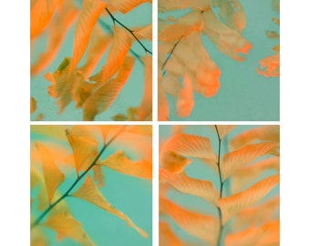 Pressed Fern Print Set of 4, Abstract Photography,  Leaf Art Print, Orange Aqua Wall Art,