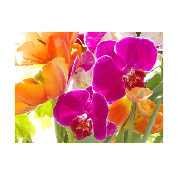 Orchid Tulip Flower Photograph, Vibrant Magenta Orange Decor