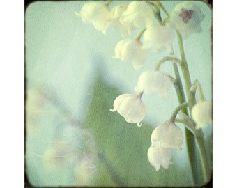 Lily of the Valley Photograph, Soft Mint Flower Print, Floral Art Print