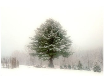 Rustic Decor, Landscape Print, Winter Snow Photograph,  Tree Photography, New England,  Woodland Decor, Winter