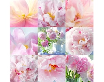 Pink Peony Collage: Flower Photography