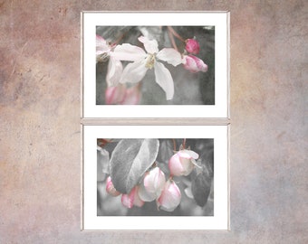 Two Apple Blossom Floral Prints: Original Pink Grey Flower Photography