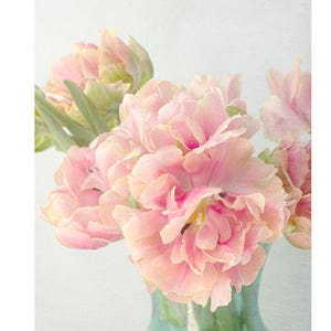 Pink Tulip Art Print, Still Life Photography, Shabby Chic Wall Art, Flower Photography, Tulip Print image 1