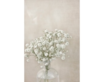 Baby's Breath Art Print: Ethereal Floral Photograph