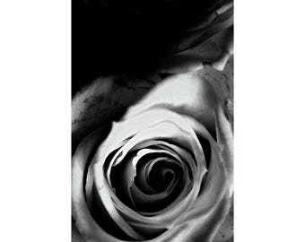 Rose Flower Photograph, Black and White Dark, Moody Art Print