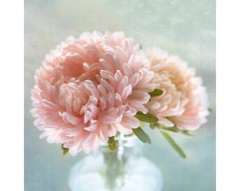Boho Flower Photograph, Pink Aster Floral Art Print