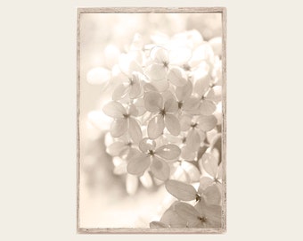 Sepia Hydrangea Flower Photograph