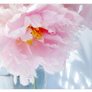 Peony Flower Card Set With Envelopes, Gift for Mother, Four Blank Note ...