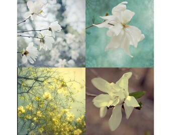 Magnolia Flower Print Set of 4, Original Photographs