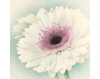 Ethereal White Flower Photograph, Floral Wall Art,  Shabby Chic Decor, Bedroom Art, Nursery Decor
