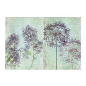 Lilac and  Allium Flower Print Set of Two,  Botanical Art Prints