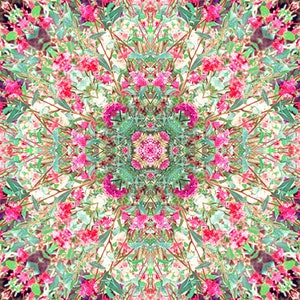 Peaceful Zen Art Print Set of 3, Flower Mandalas image 4