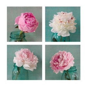 Peony Photographs,  Four Botanical Print Set, Pink Aqua, Still Life Photos