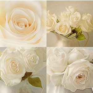 White Rose Print Set of 4, Rose Photographs, French Country Wall Decor, Country Chic Decor image 7