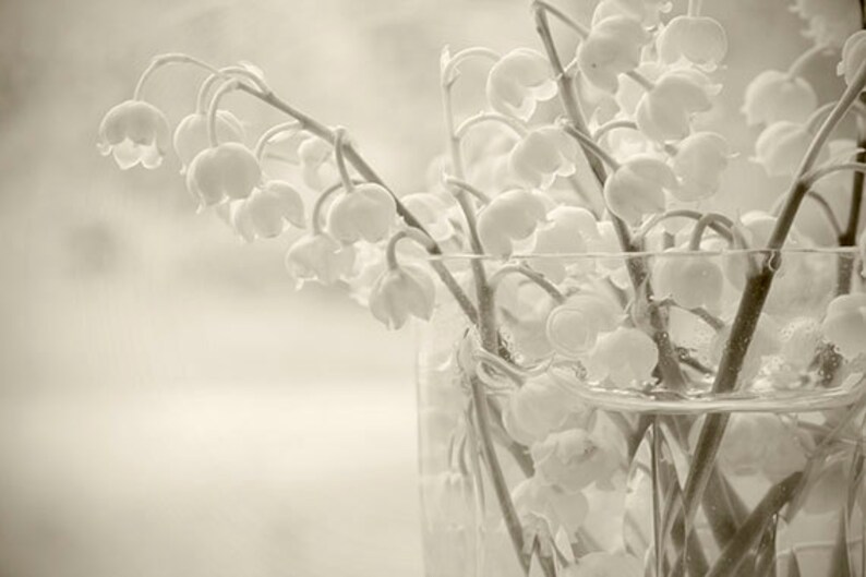 Lily of the Valley,  Sepia Flower Photography, Botanical Art, Shabby Chic Wall Decor, Flower Wall Art, Floral Decor