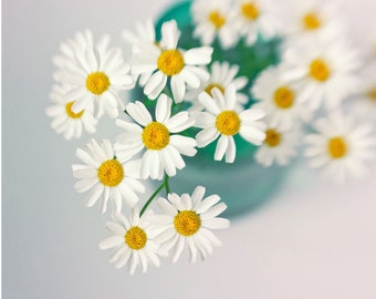 White Daisy Photograph, Floral Art Print,  White Turquoise Wall Decor, Still LifeFlower Art Print