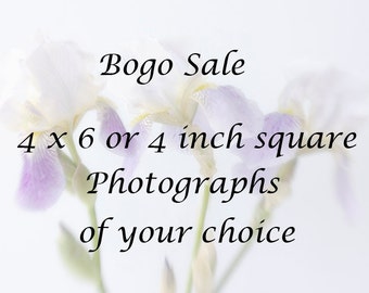 4 x 4 or 4 x 6  Prints, Photographs of Your Choice, Bogo Sale