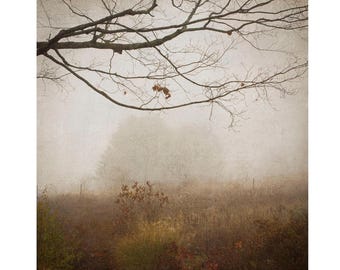 Misty Landscape Photography, Rustic Earth Tone Wall Art, Sepia