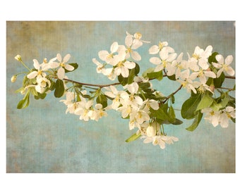 Apple Blossom Print, White Flower Wall Art, Asian Wall Art,  Flower Photograph