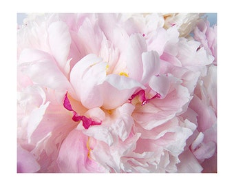 Romantic Pink Peony Art Print, Flower Photography, Pastel Bedroom Decor