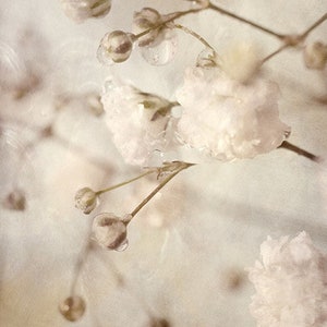 Macro Flower Photograph, Baby's Breath Art, Neutral Decor, Sepia Print, White Flower Photography, image 4