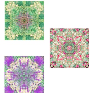 Peaceful Zen Art Print Set of 3, Flower Mandalas image 6