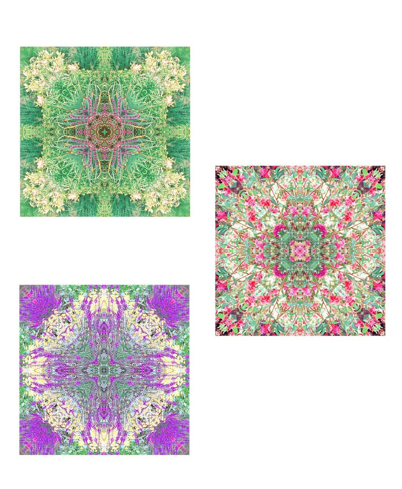 Peaceful Zen Art Print Set of 3, Flower Mandalas image 6