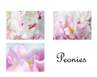 Peony Note Card Set of 3 with Envelopes, Gift for Mother, Blank Card, Floral Greeting Card Set