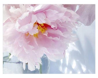 Pink Peony Flower Art Print,  Soft Pastel Floral Photography