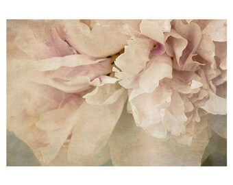 Textured Peony Art Print: Vintage Style Floral Photography