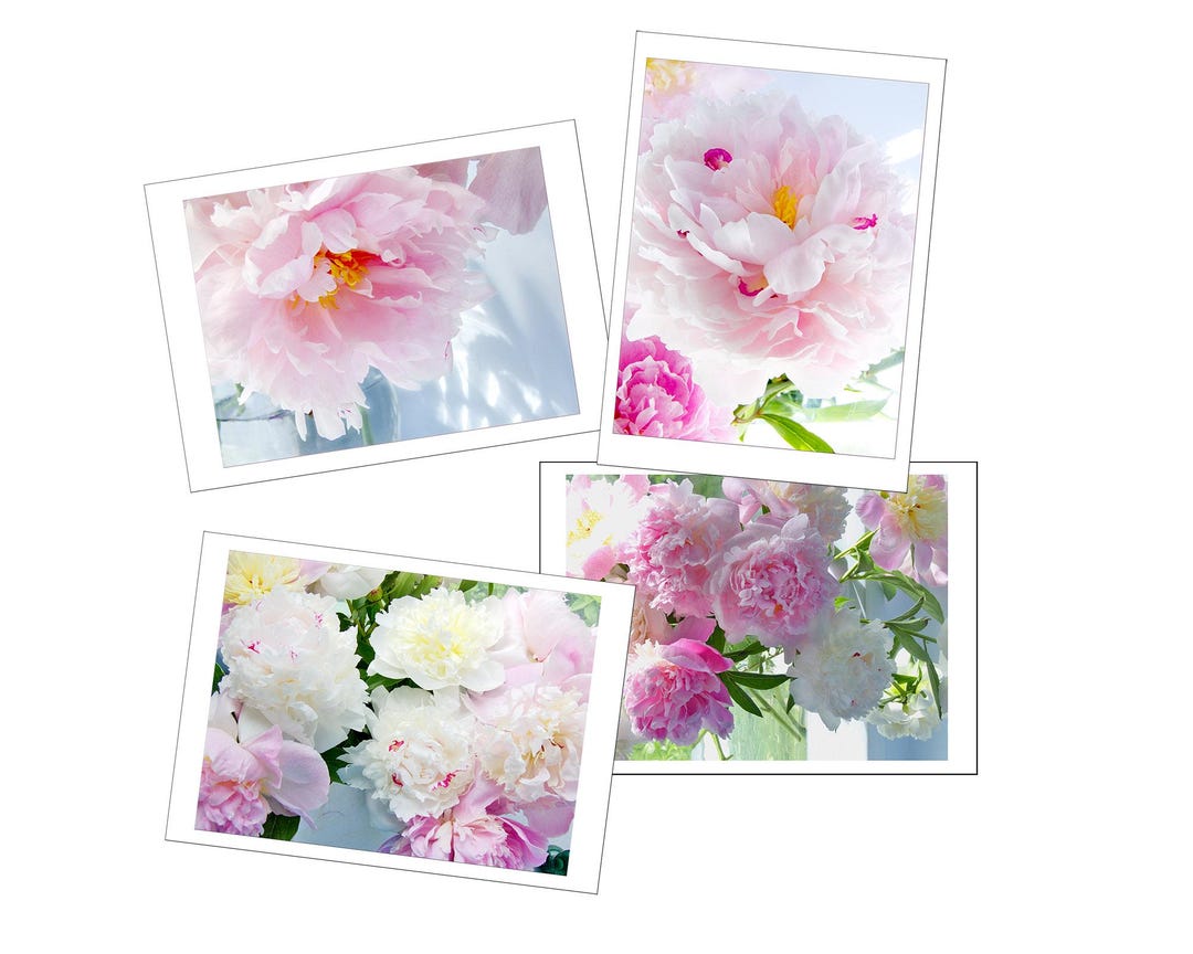 Peony Flower Card Set With Envelopes, Gift for Mother, Four Blank Note ...