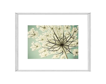 Printable Wildflower Photograph, Digital Queen Anne's Lace Floral Print, My Original Photograph