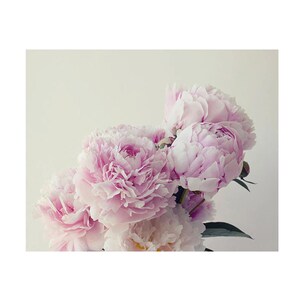 Original Peony Photograph, Ethereal Art image 1