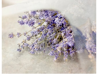 Lavender Flower Still Life Photograph
