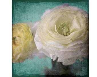Ranunculus Photograph,  Shabby Chic Home Decor. Flower Photography