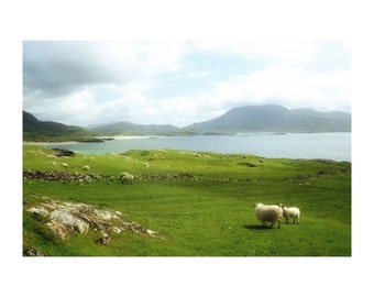 Ireland Landscape Print, St. Patrick's Day Gift, Ireland Beach Photography with Sheep