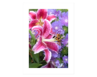 Pink Lily Flower Photo Card, Blank Greeting Card