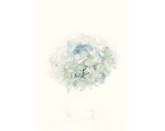 Blue Hydrangea Still Life Photograph, Ethereal Fine Art Print,  Flower Photography, Floral Wall Decor