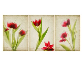 Red Tulip Botanical Print Set of 3, Tryptic