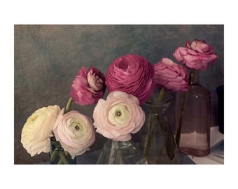 Ranunculus Print, Still Life Photograph, Modern Victorian  Art, Floral Art Print, Flower Wall Decor,