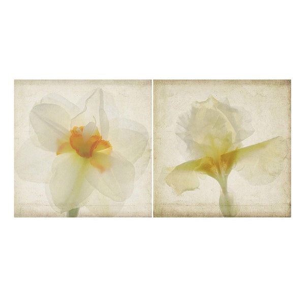 Wall Art Set of 3,  Daffodil Iris Print Set,  Shabby Chic Wall Decor, Pressed Flower Art