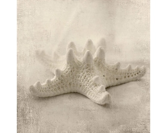 Sepia Starfish Art Print, Textured Still Life Neutral Photography
