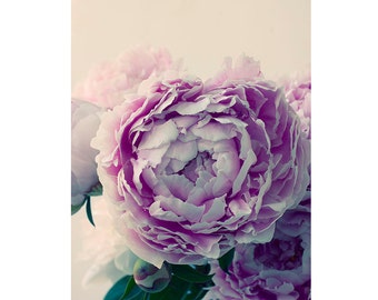 Peony Photograph, Floral Art Print,  Flower Photography, Bedroom Wall Art