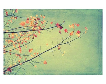 Autumn Tree Art Print, Autumn Leaves Photograph, Modern Farmhouse Art, Rustic Decor, Vibrant Sky Print