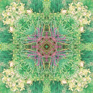 May include: A symmetrical mandala pattern created from a photograph of a garden with green foliage, yellow flowers, and purple flowers.