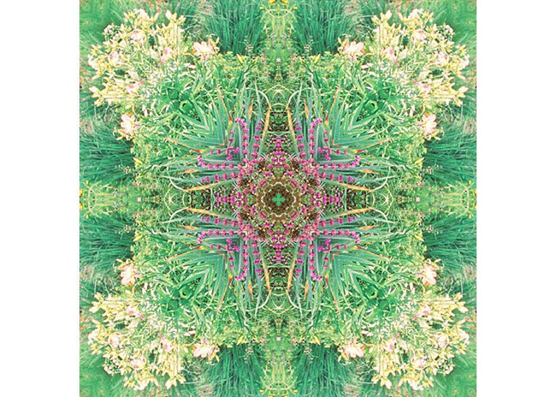 May include: A symmetrical mandala pattern created from a photograph of a garden with green foliage, yellow flowers, and purple flowers.