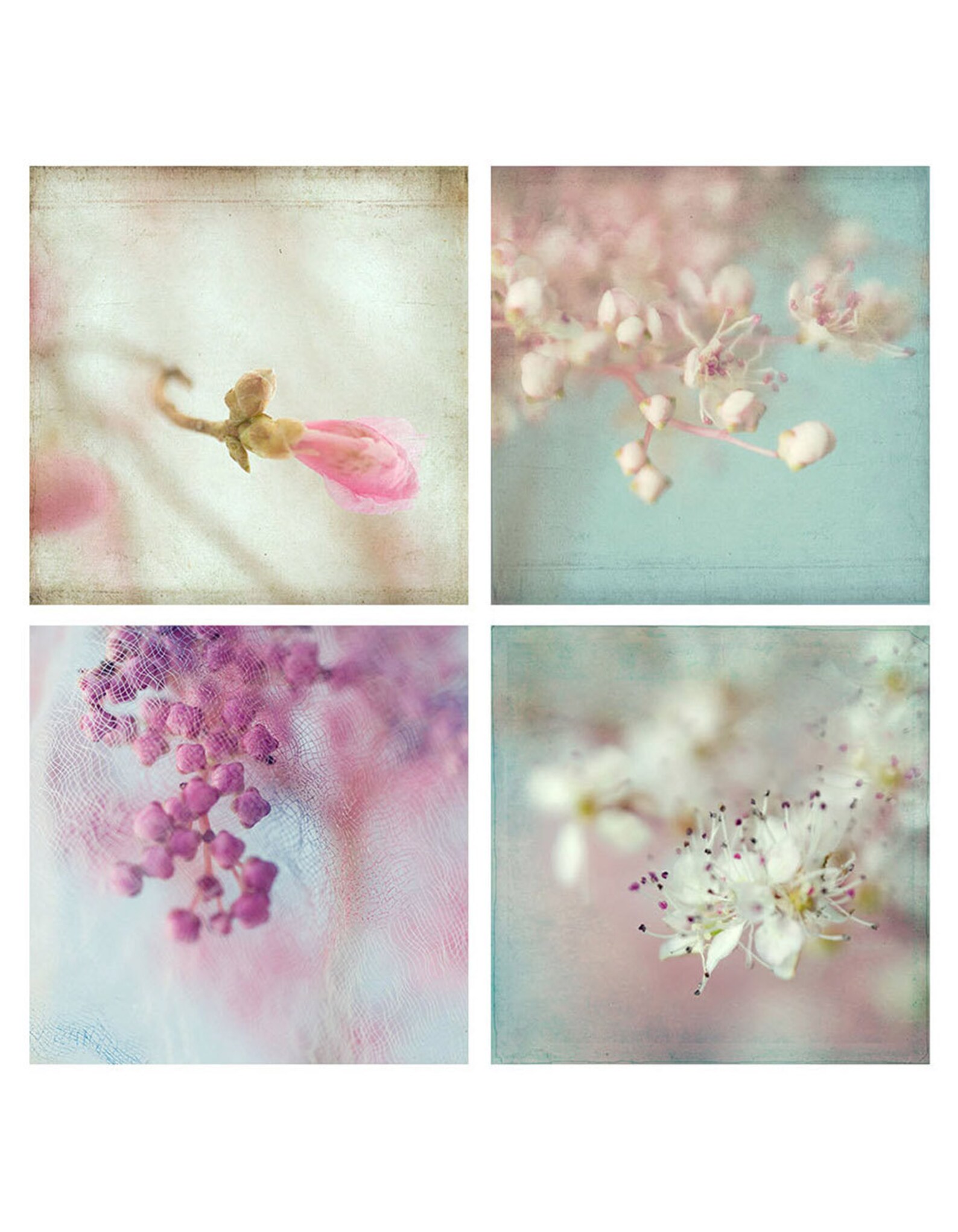 Flower Art Print Set of 4 Flower Photography Pink Mint Wall Etsy