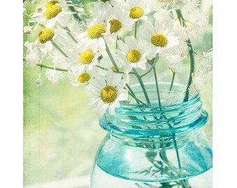 White Daisy Floral Art: Flower Photography, Summer in a Jar