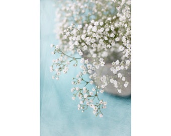 Baby's Breath Still Life Photograph, Modern Farmhouse Decor, White Flower Wall Art