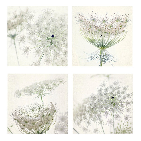 Queen Anne's Lace Print Set of 4, White Floral Art Print,  Flower Photographs, Housewarming Gift